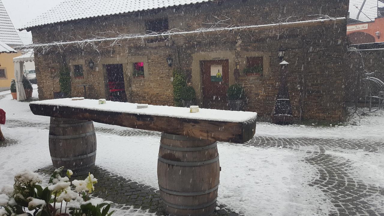 Der Patrizierhof - Weingut Gasthof Hotel - Familie Grebner Grosslangheim Exteriör bild